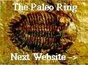 The Paleo Ring's Next
                                    Website