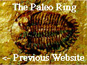 The Paleo Ring's Previous
                                    Website